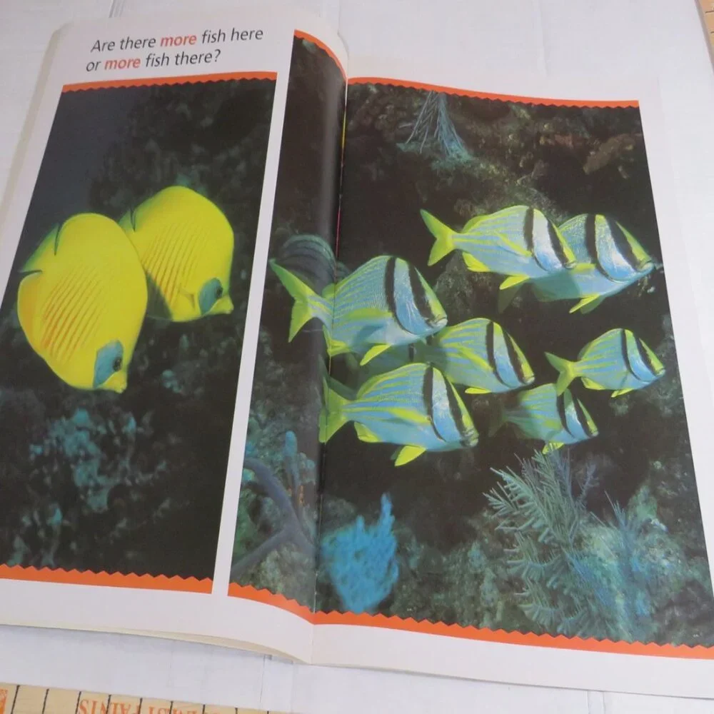 More OR Less BIG BOOK (almost 2 feet tall) with teacher pages CLASSROOM SIZE